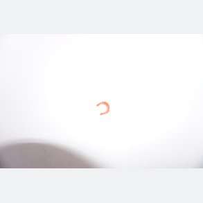 Locking Clip 8Mm Rot/Red