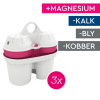 BWT Magnesium Mineralizer filtre (3-pak)