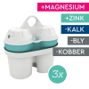 BWT ZINK + magnesium mineralizer filtre (3-pak)